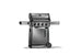 Barbecue Napoleon Freestyle 4B + SZ F425DSIBPGT-FR Napoleon