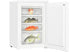 Congélateur top Thomson THTTFZ4WHA++ Thomson