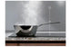 Hotte décorative murale Electrolux LFV619W Electrolux