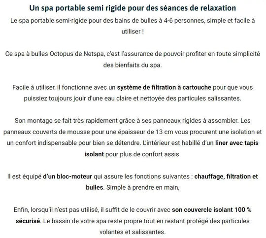 Spa Gonflable Netspa Spa Portable Semi-Rigide Octopus Octogonal Bulles 4-6 Places - Netspa Netspa